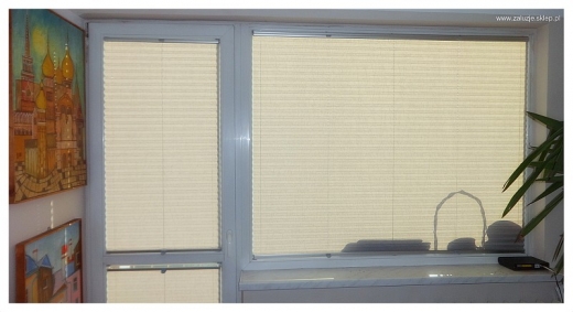 Plisy okienne dopasowane do okien ze szkleniem stałym, łączące styl i funkcjonalność.